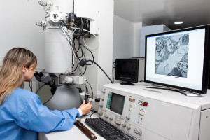 Wetenschappers van de Poolse Academie van Wetenschappen hebben biocide nanocomposieten ontwikkeld. Ze zouden helpen bij het bestrijden van micro-organismen