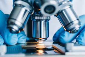 MSD Polska mantiene su condición de centro de investigación y desarrollo por un año consecutivo.