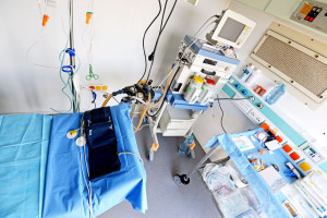 Farmacie, ospedali, laboratori, biobanche e uffici dispongono di dati medici. Come collegarli?
