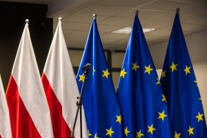 White Paper: experts on the priorities and recommendations of the Polish Presidency of the Council of the European Union
