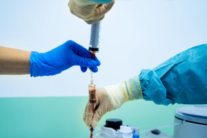 Silesia: 15 años de trasplante de células hematopoyéticas en el Instituto de Oncología de Gliwice