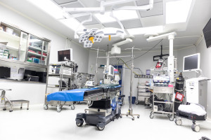 Woman's death did not stop medical experiment. Court ruling issued
