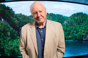 David Attenborough completa 99 anos hoje. Ele atribui sua longevidade a uma decisão importante
