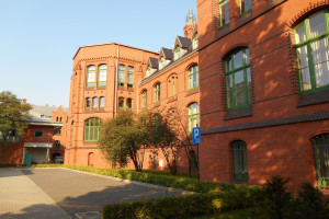Trattamento del cancro al colon. Una nuova scoperta all'Università di Medicina di Breslavia