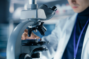 Attaccano il fegato e il cervello. 50 milioni di persone vengono infettate in un anno
