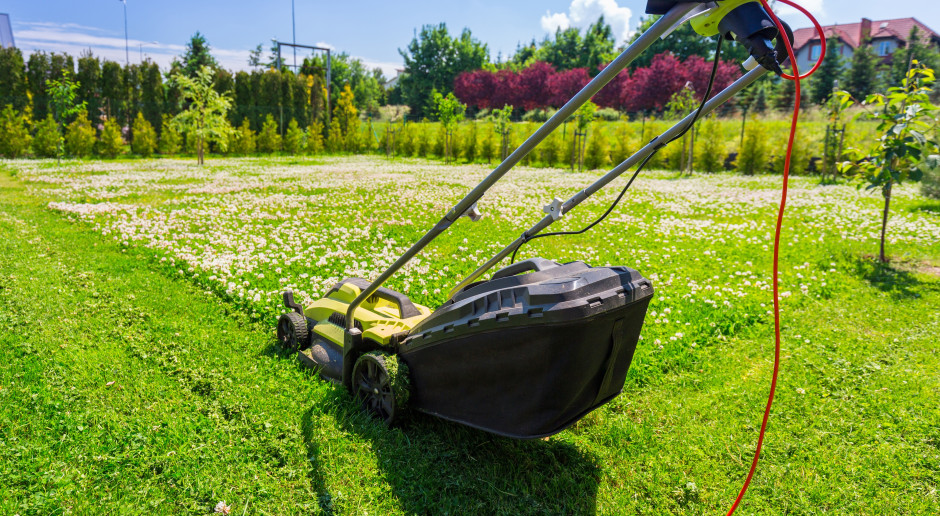 6 thousand times more poisonous than cyanide. There is no antidote. Poles plant in gardens