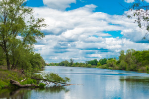 De rivier de Oder met rechtspersoonlijkheid. 7 duizend er waren geen handtekeningen, maar het project werd gered