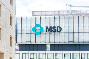 Enfoque en el empleado y gestión de la diversidad: dos premios para MSD Polska
