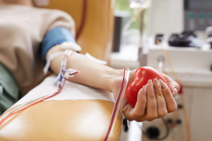 Permisos importantes para donantes honorarios de sangre. Ahora todo está claro.