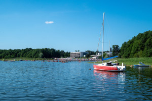 La pesadilla de las vacaciones canceladas. No habrá peste en Polonia este año.