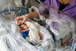 Hoy: 1 de julio, última oportunidad. ¿Sobrevivirá la única maternidad en las montañas de Bieszczady?