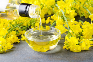 Omega-6-vetzuren zijn toch niet schadelijk? Nieuw onderzoek ontkracht de mythe over hun ontstekingsbevorderende effecten.