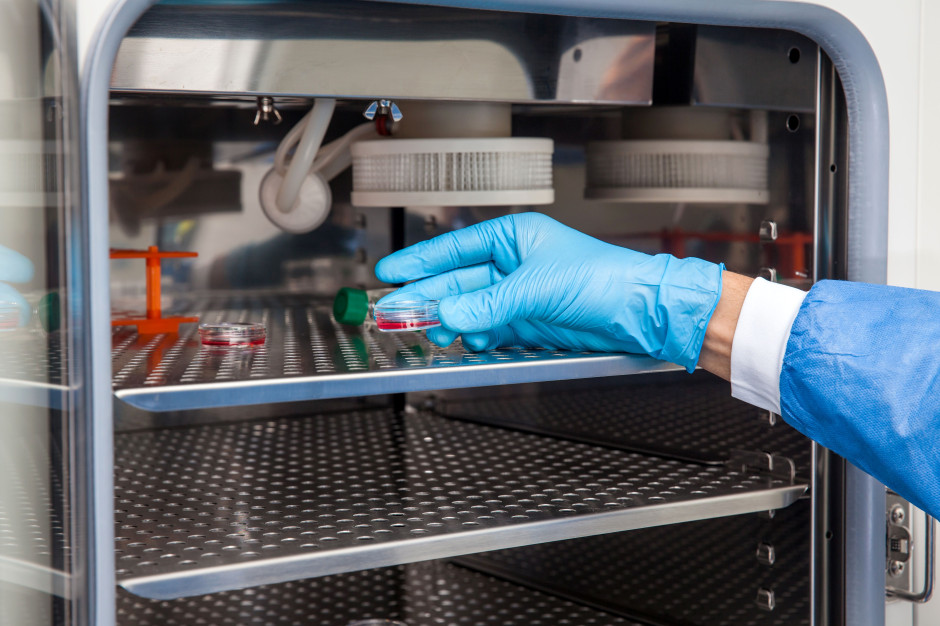 Rok programu in vitro. Mamy pełne dane z Ministerstwa Zdrowia. 14 tysięcy ciąż
