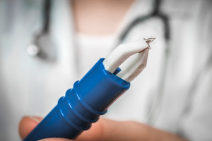 Este ano, houve quase 12.000 casos de doença de Lyme. Médicos apontam para a Covid-19.