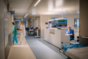 The Limits of Intervention: The Patient Rights Ombudsman on the Differences Between Coercion and Safety