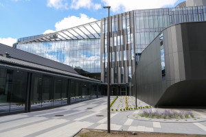 Psicologia é mais uma vez um sucesso no processo seletivo da Universidade de Lodz. 15 candidatos se candidatam a uma vaga.