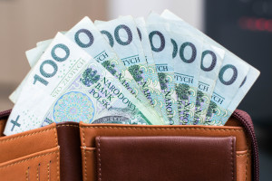 50,000 PLN has already been deposited into accounts, and over a million applications have been submitted. Poles have flocked to claim their payments.