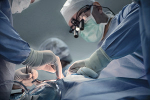 De overeenkomst geldt voor 5 jaar. De langverwachte hoornvliestransplantaties in Bytom worden hervat.