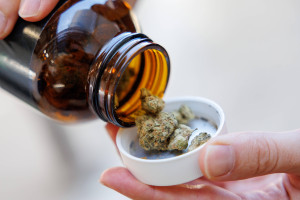 Legal marijuana: cheaper than from a dealer, exotic flavors. We describe how the market is coping with restrictions.