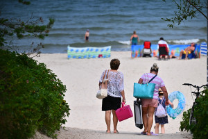 A dead giant found on a Polish beach. Sanitary Inspectorate issued a statement: August 14 results