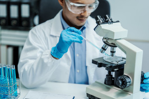De leverregenererende substantie wordt op natuurlijke wijze door de darmen geproduceerd