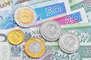 354,86 PLN al mese. Un sussidio in denaro completamente sconosciuto per 37.258 persone.