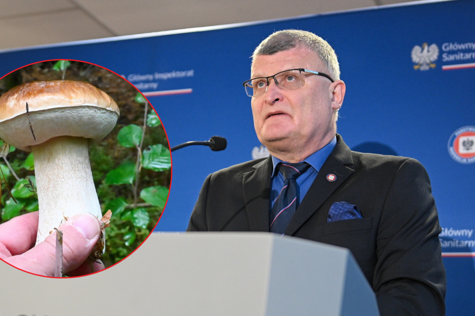 Narodowy sport Polaków. GIS bije na alarm: największy grzech grzybiarzy ujawniony